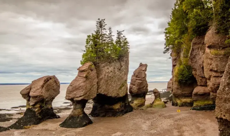 Hiking Destinations for Solo Travelers: Bay of Fundy, New Brunswick