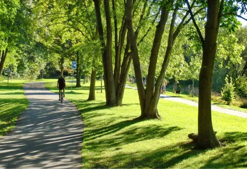 Hiking Destinations for Solo Travelers: Toronto’s Urban Trails, Ontario