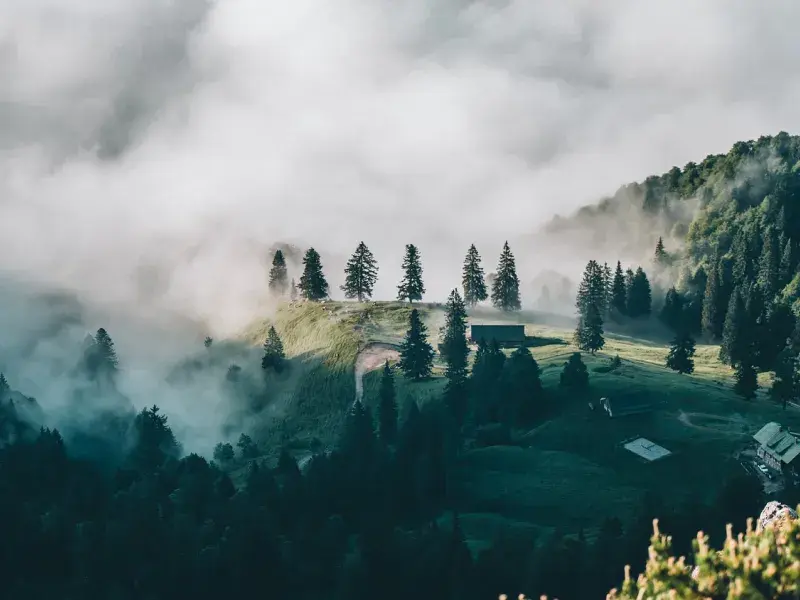 Black Solo Travelers in the Americas | Best Destinations & Safety Tips