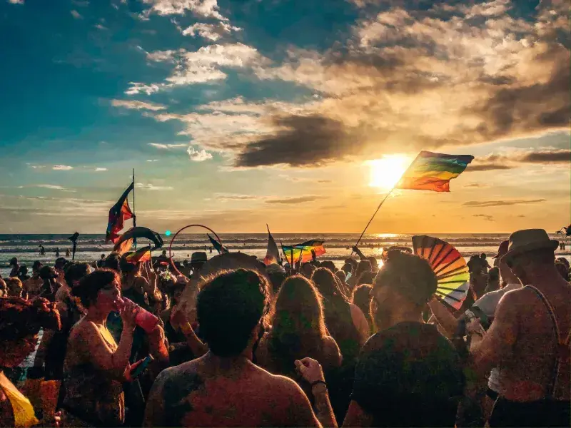 Music Festival Solo Planning